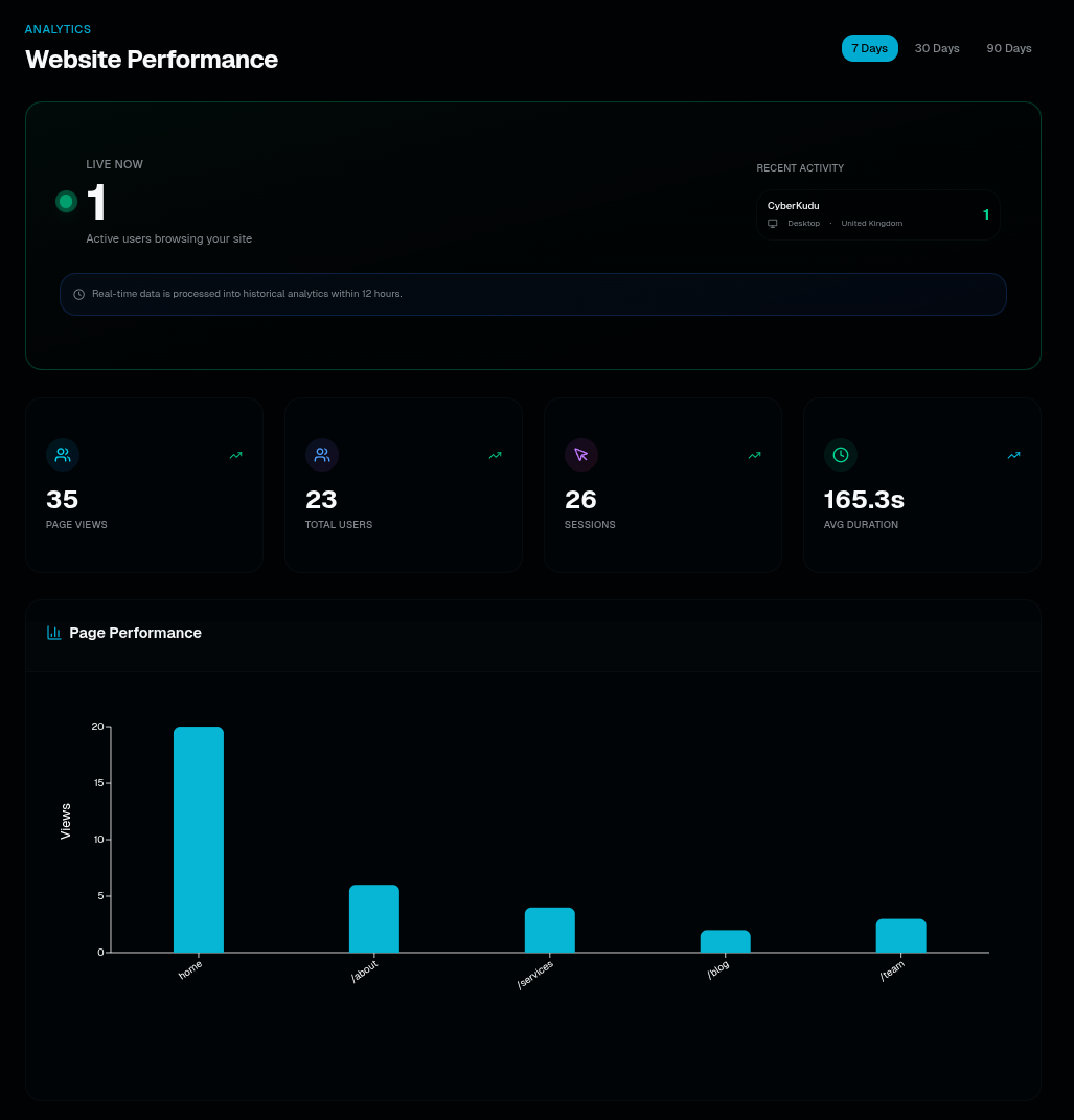 Website Performance Analytics